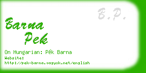 barna pek business card