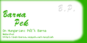 barna pek business card